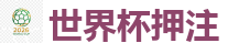 2026世界杯在线投注官网